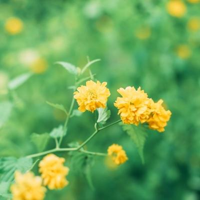 烈火剑歌无限版破解下载